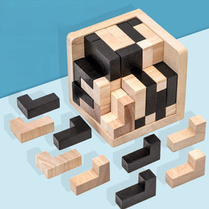 Wooden Intelligence Toy Brain Teaser Game