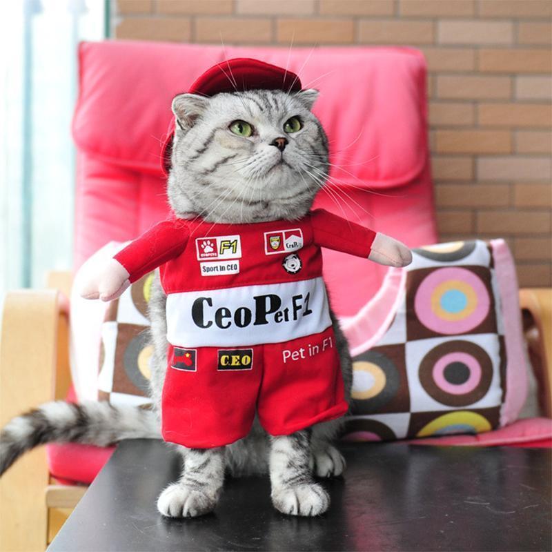 Funny Pet Costumes