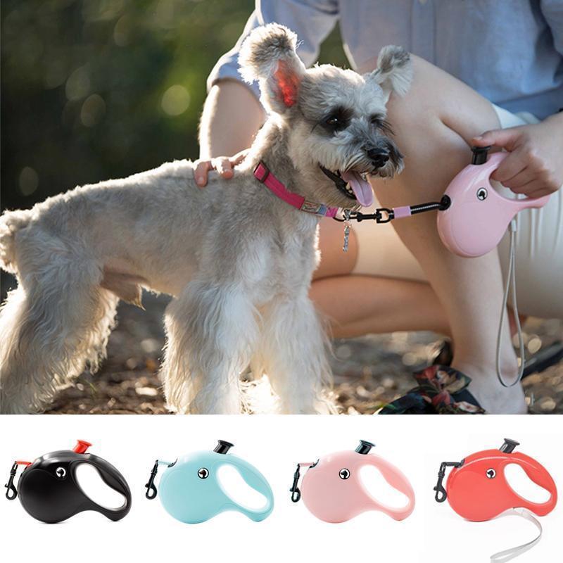 Flexi Dog Retractable Leash