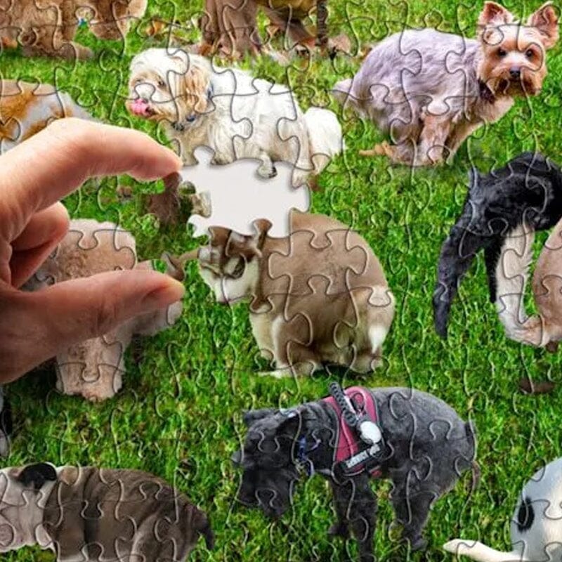 1000 Piece Puzzle, Rescue Dogs