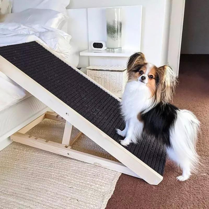 Height-Adjustable Pet Climbing Ladder