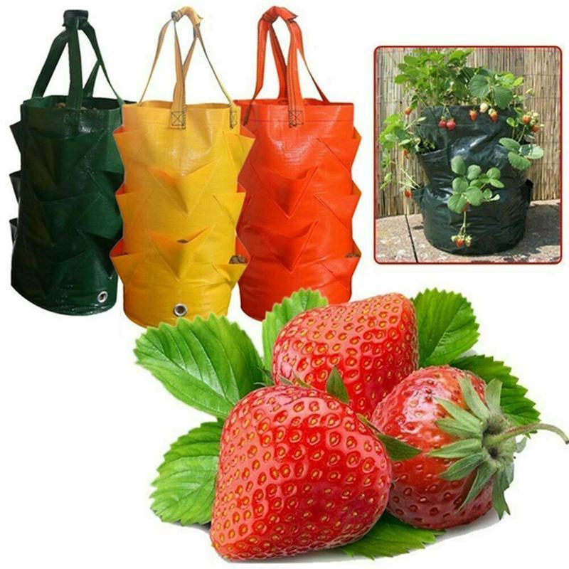 Strawberry Planting Grow Bag