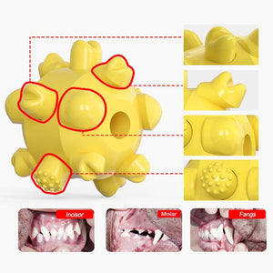 Pet Teeth Grinding Toy