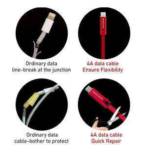 4A Regenerative Data Cable