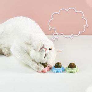 Catnip Wall Ball Edible Cat Toys