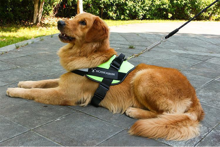 Reflective all-in-one No Pull Dog Harness