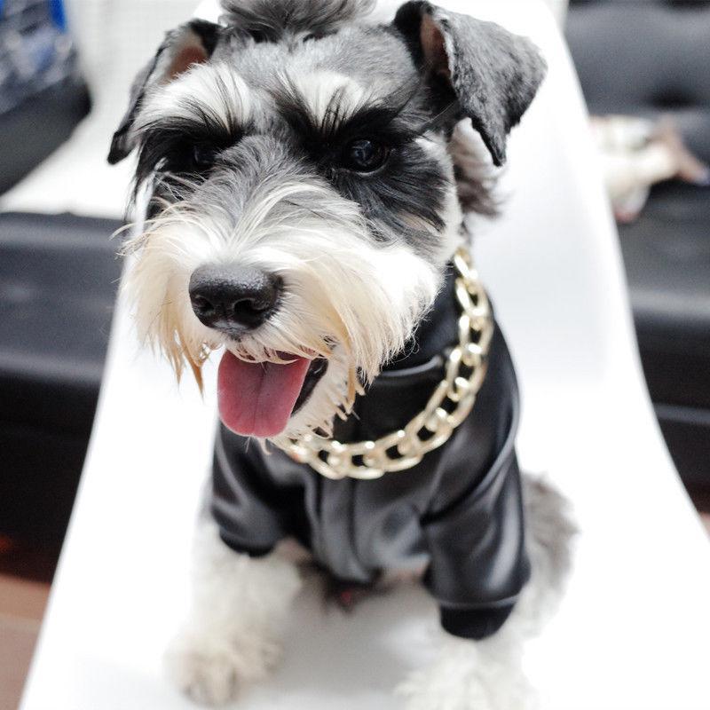 Thick Gold Chain Pets Safety Collar