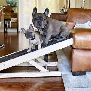 Height-Adjustable Pet Climbing Ladder