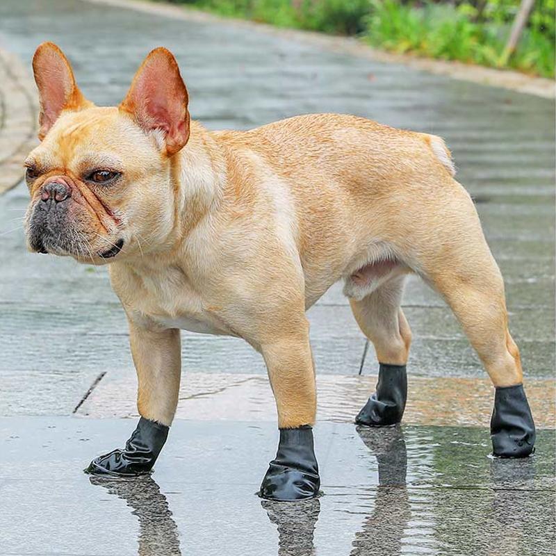 Waterproof Dog Shoes for Paw Protection