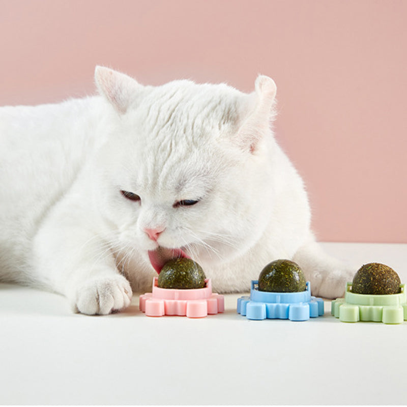 Catnip Wall Ball Edible Cat Toys