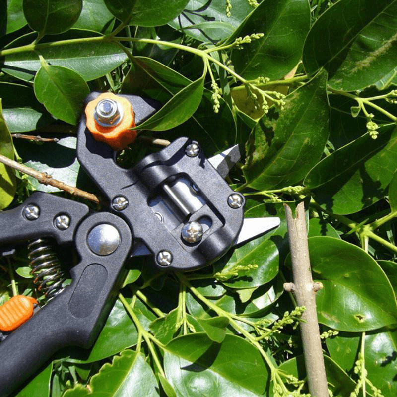 🌲Professional Garden Grafting Tool Kit