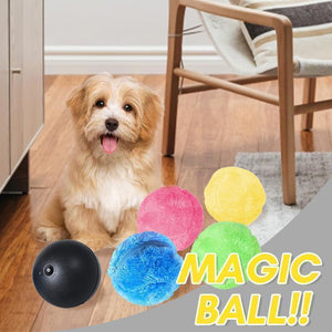 Hirundo® Magic Ball for Dogs