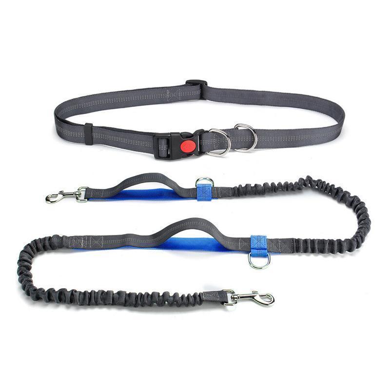 Handsfree Elastic Bungee Dog Leash